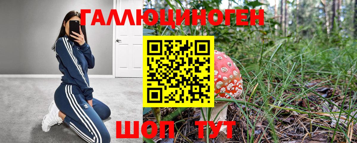 Псилоцибиновые грибы Psilocybe Каспийск